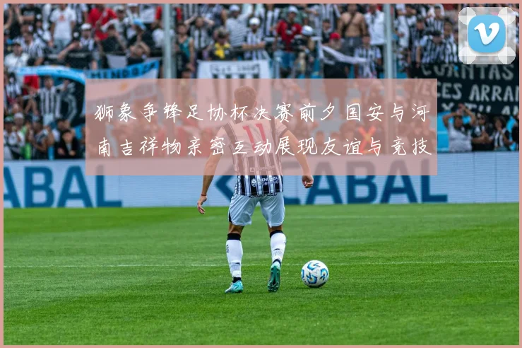 狮象争锋足协杯决赛前夕国安与河南吉祥物亲密互动展现友谊与竞技精神