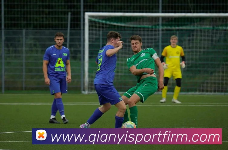 多媒体互动体验